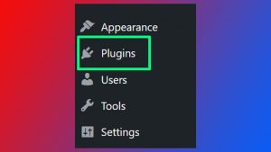 Click on Plugins