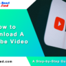 How to Download A Youtube Video